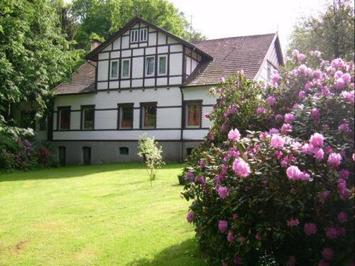 Hôtel Altes Berghaus à Bad Essen Extérieur photo